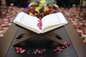 quran in hindi