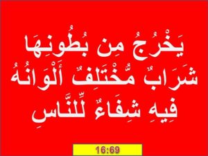 7 Ayate Shifa Quran Men