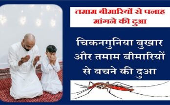 Chikungunya Aur Sari Bimariyon Se Hifazat