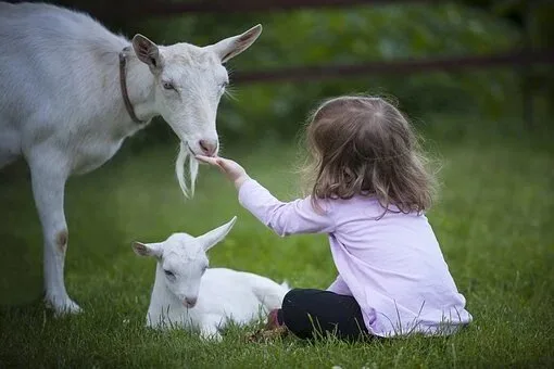 Eidul adha 2025 kab hai ?